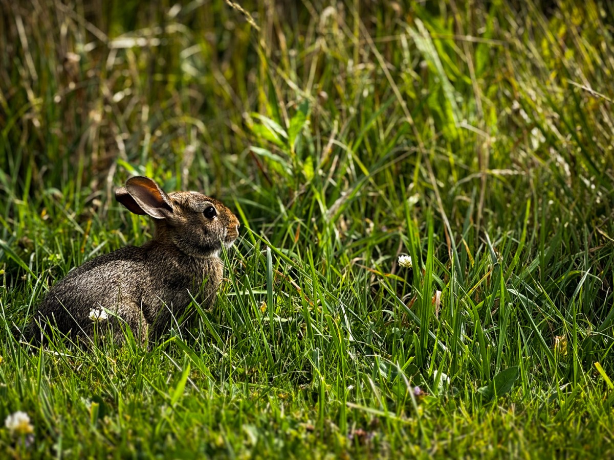 A Thing Called&nbsp;Love